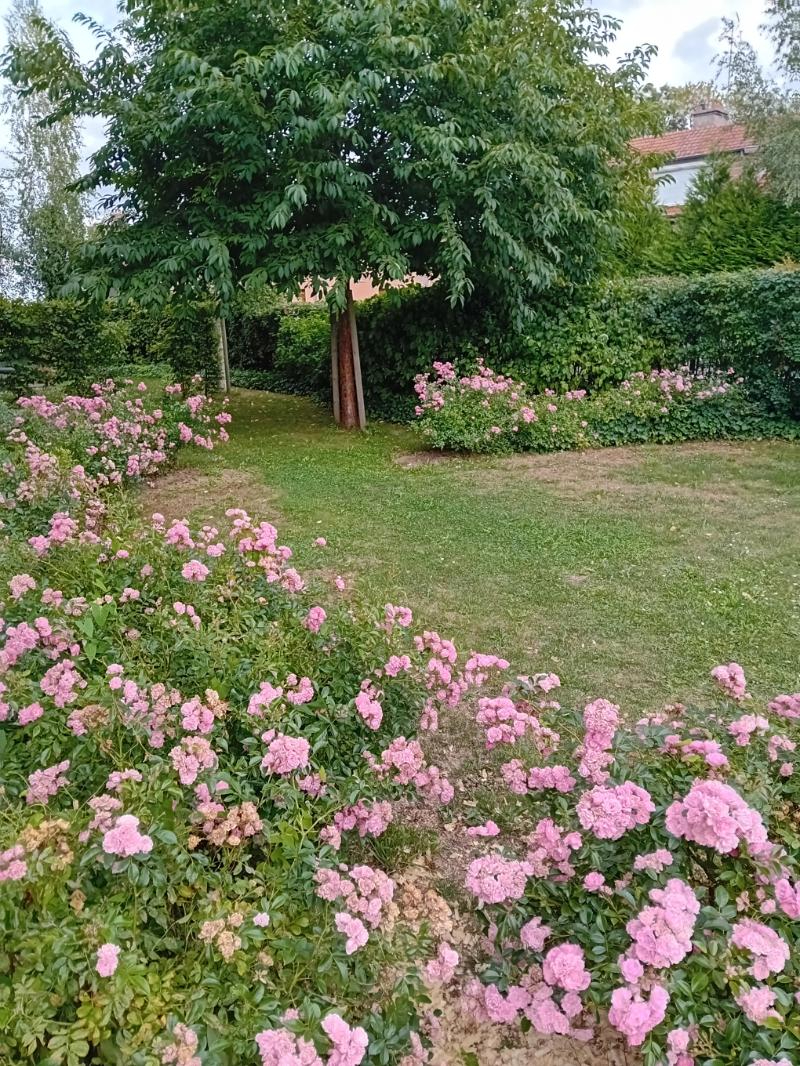 Appartement T2 46.72m2 quartier st honor\u00e9